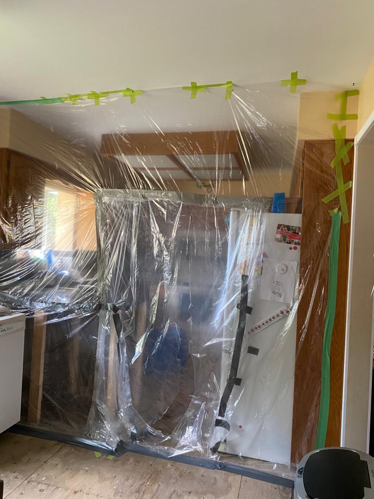 Mold Remediation